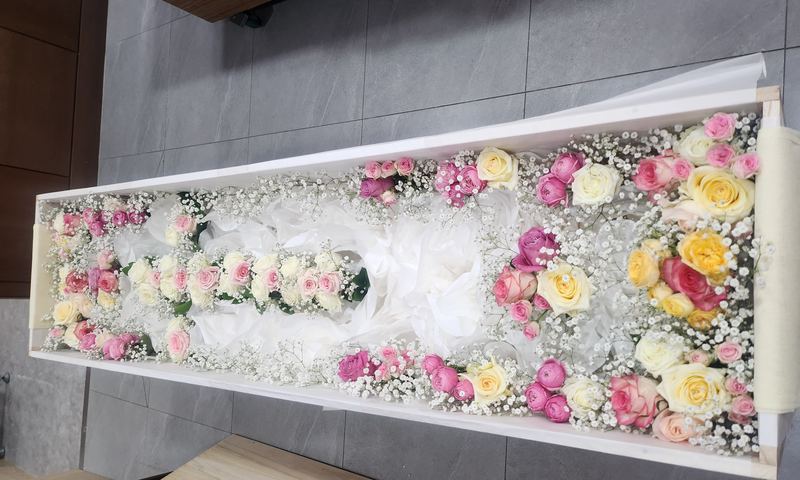 분홍과 노랑, 봄빛으로 채운 꽃관